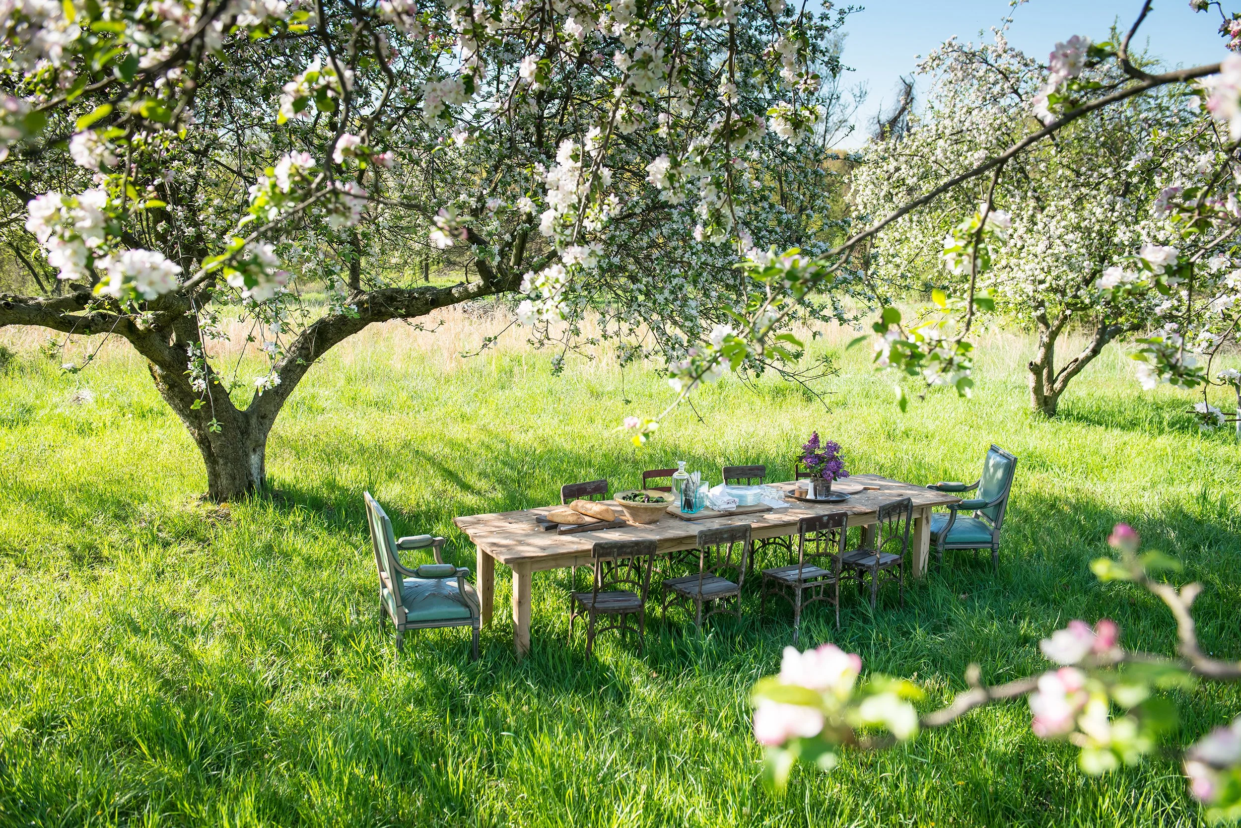 Ian Campbell Photography