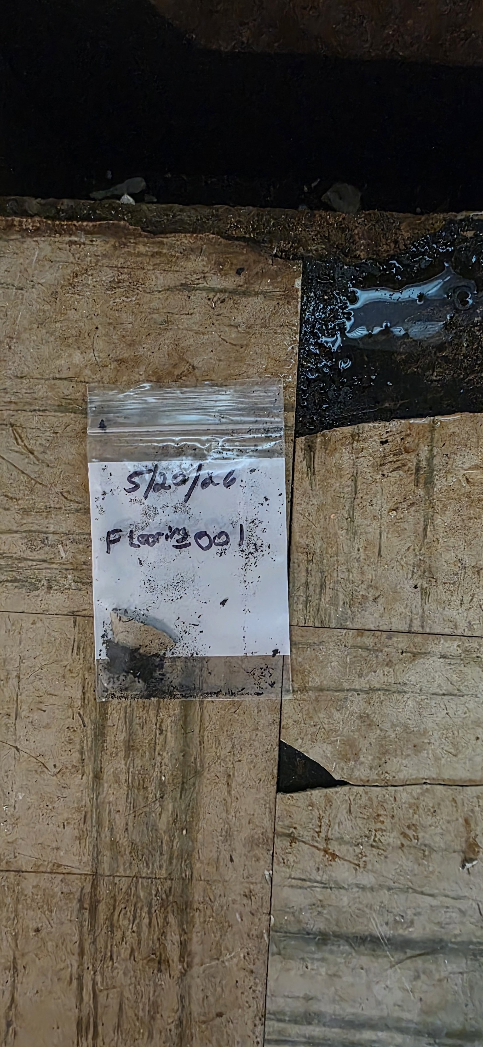 Asbestos flooring sample
