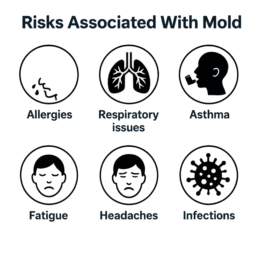 A chart titled 'Risks Associated With Mold' depicting health risks including allergies, respiratory issues, asthma, fatigue, headaches, and infections.