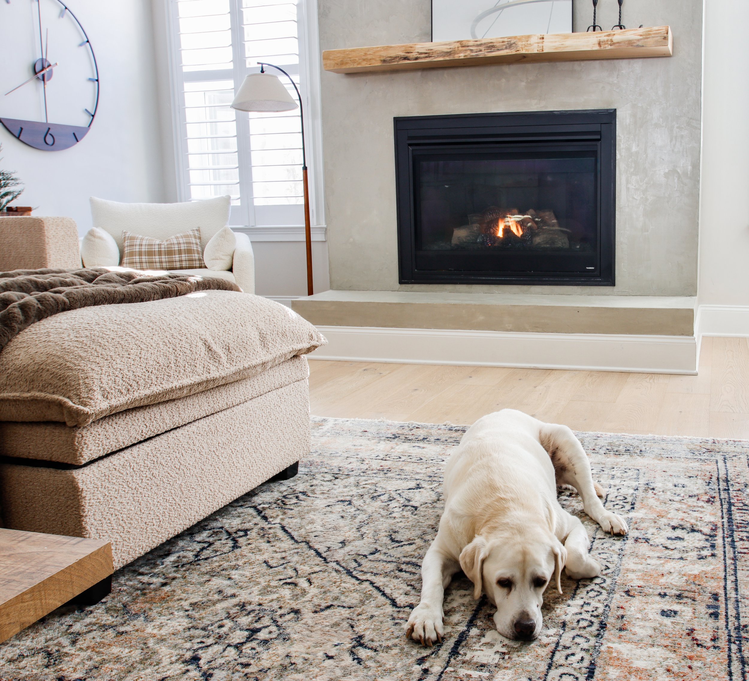 Living room with a white dog lying on a patterned rug, a fireplace with a fire, a beige armchair with pillows, a wall clock, a floor lamp, and a window with shutters.