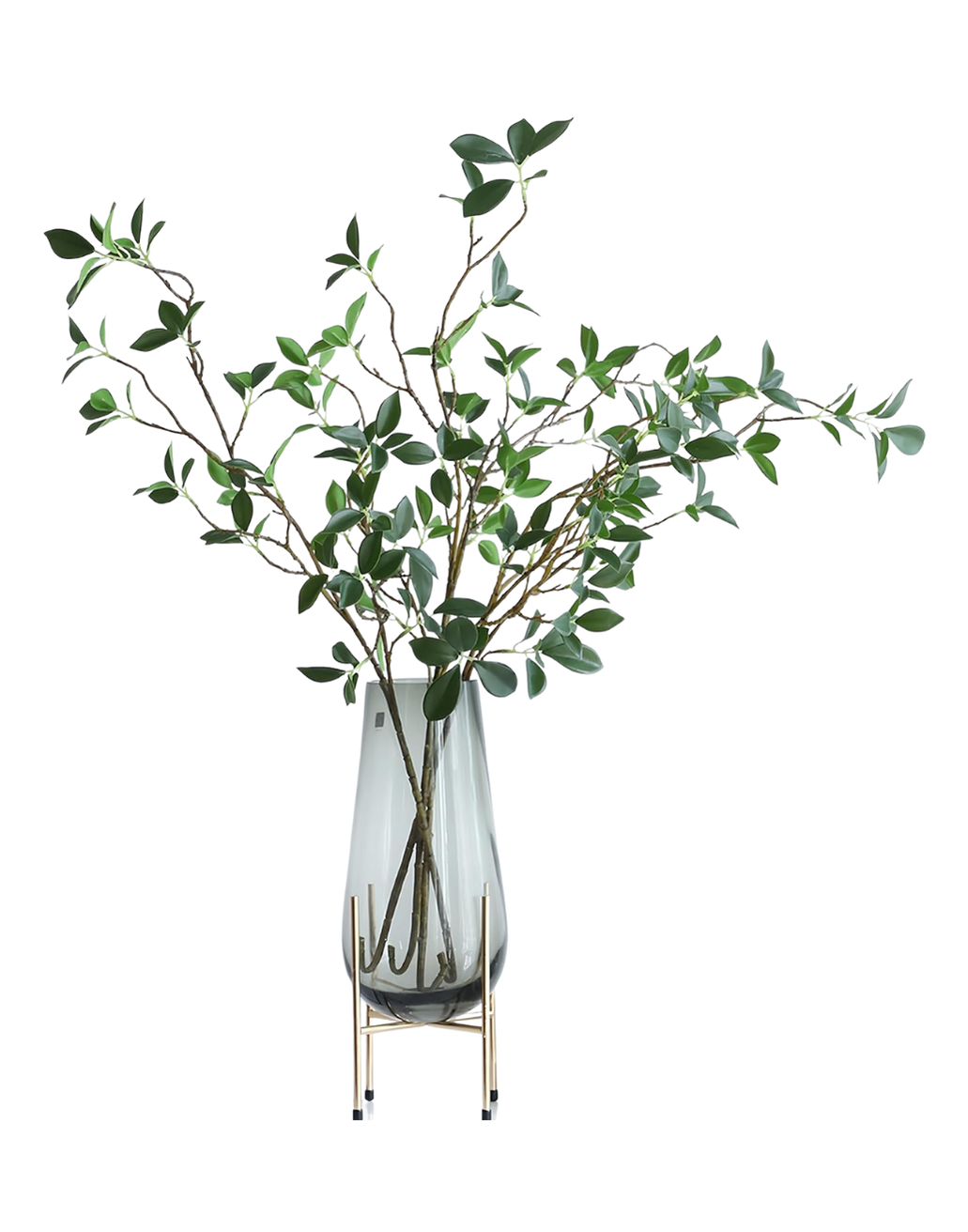 A green leafy plant in a white vase on a stand, with the plant having many small oval leaves and thin branches.
