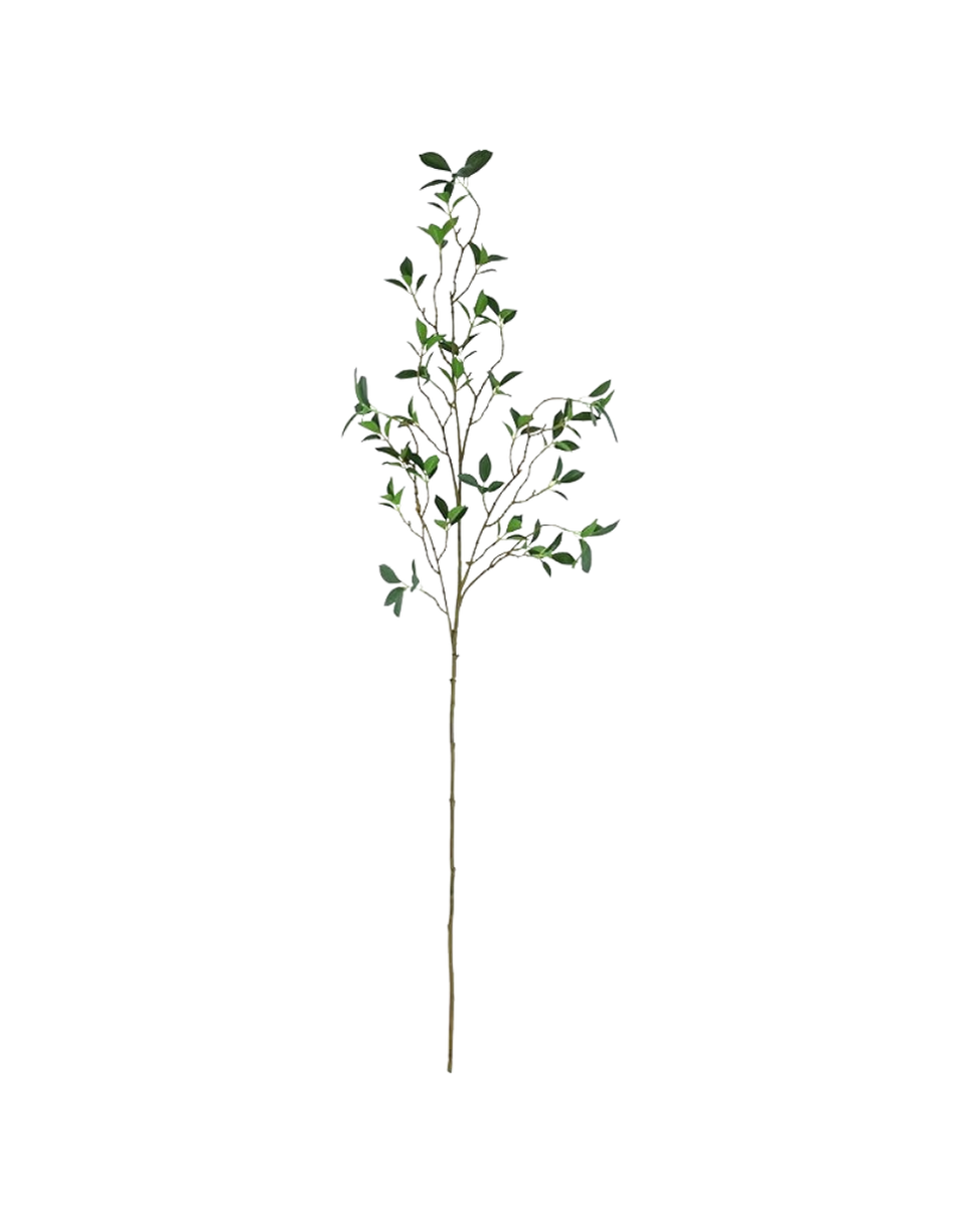 An illustration of a potted plant with green leaves and a tall, thin stem against a black background.