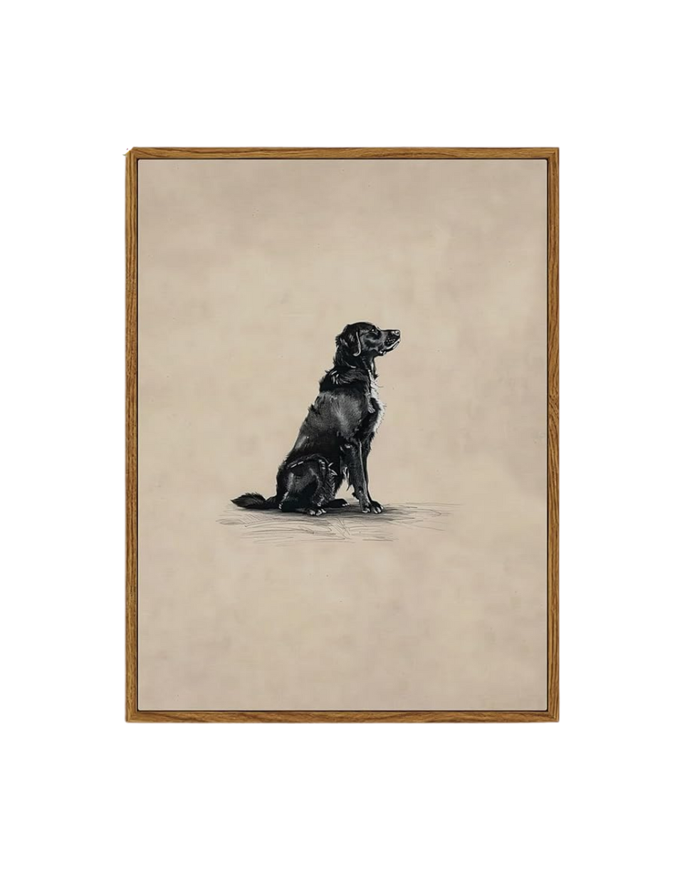 A detailed sketch of two black dogs, one sitting and one lying down, within a wooden frame, against a light background.