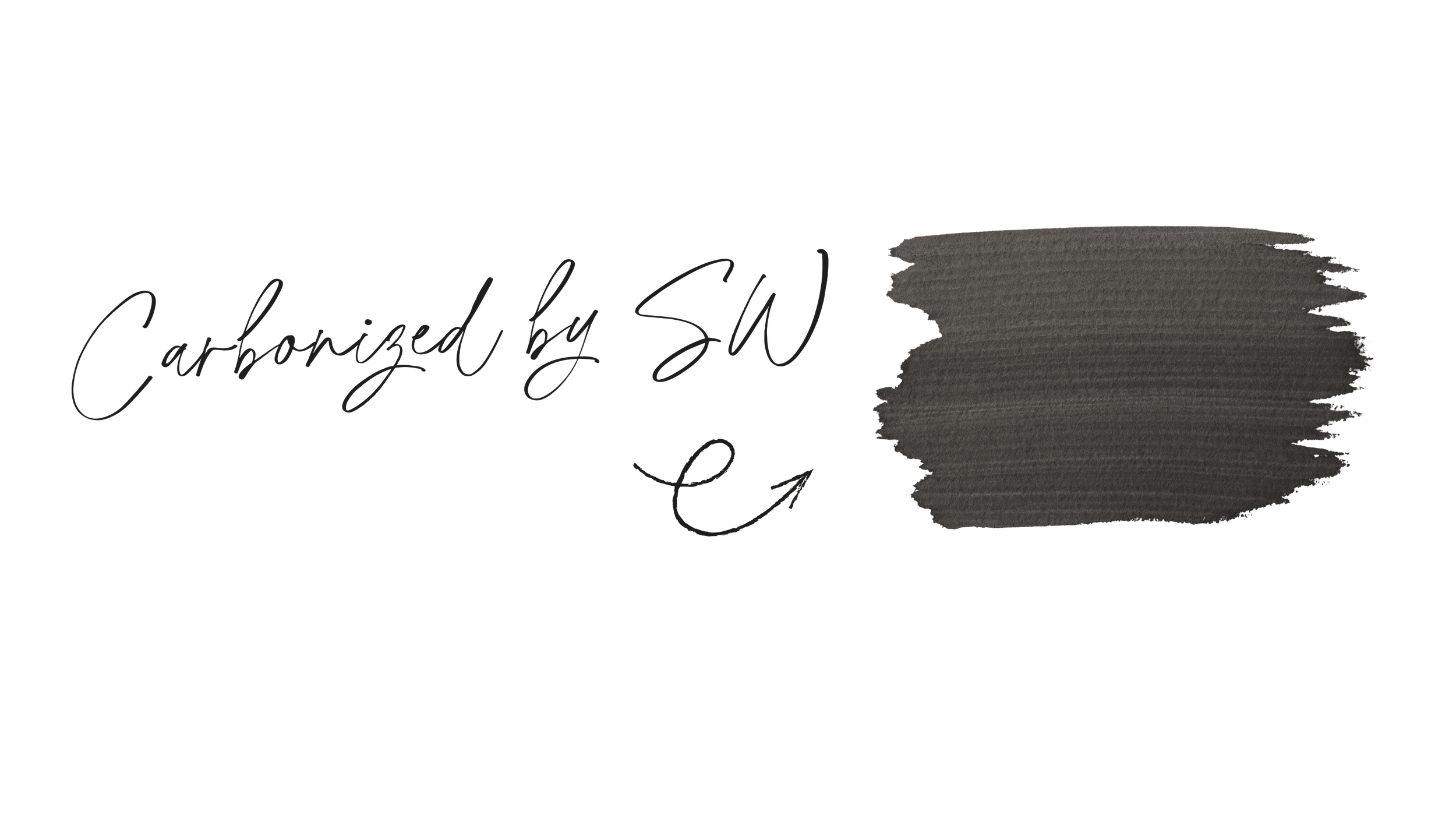 Text reading 'Carbonized by SW' with a gray textured shape and a small purple accent on a black background.