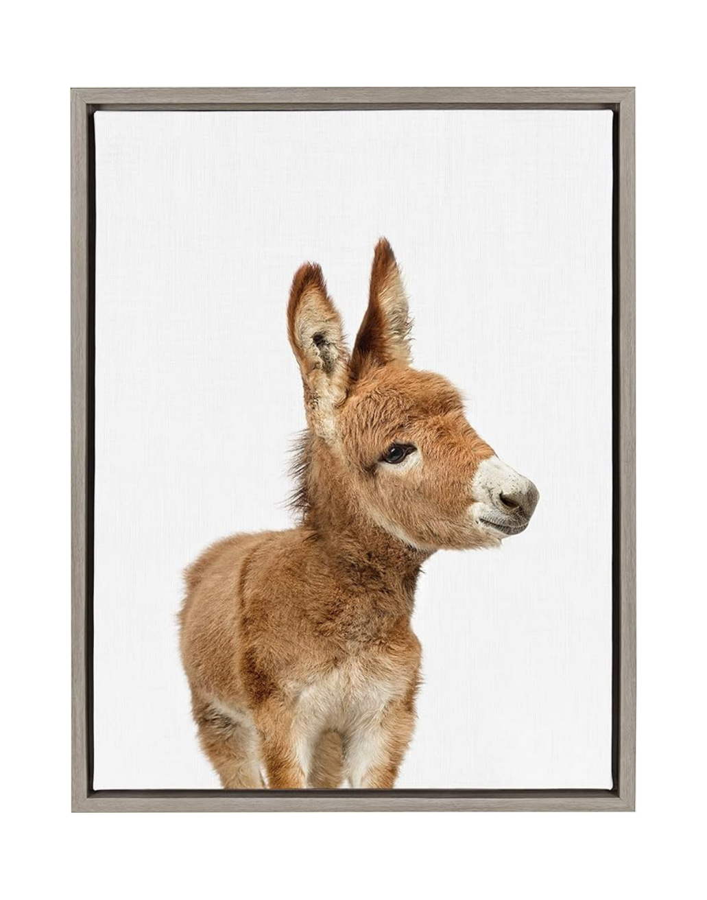 A framed artwork of a young donkey with a human face against a plain white background.