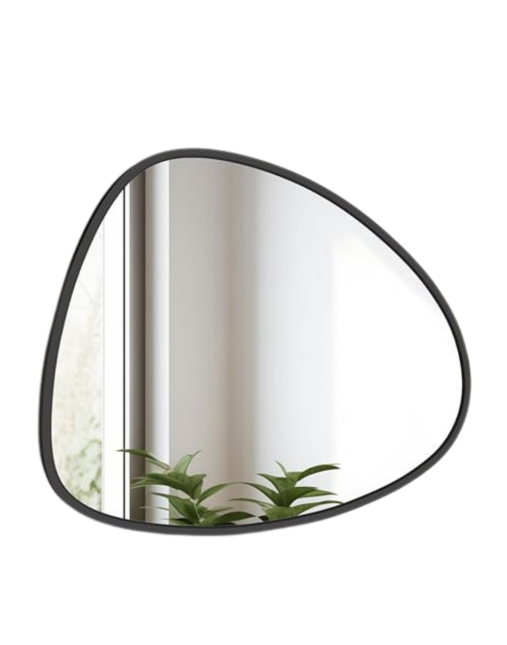 Close-up of a black-framed, teardrop-shaped mirror reflecting a white wall and green houseplants near a window.