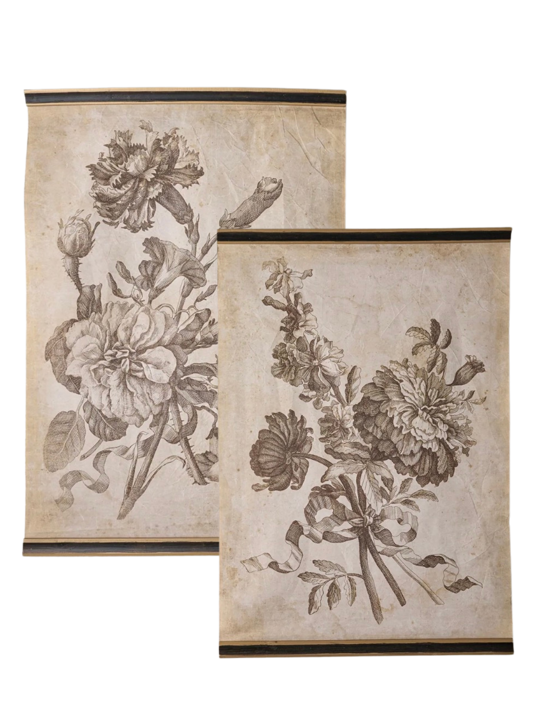 Two antique botanical illustrations of flowers on aged paper, framed and displayed together.