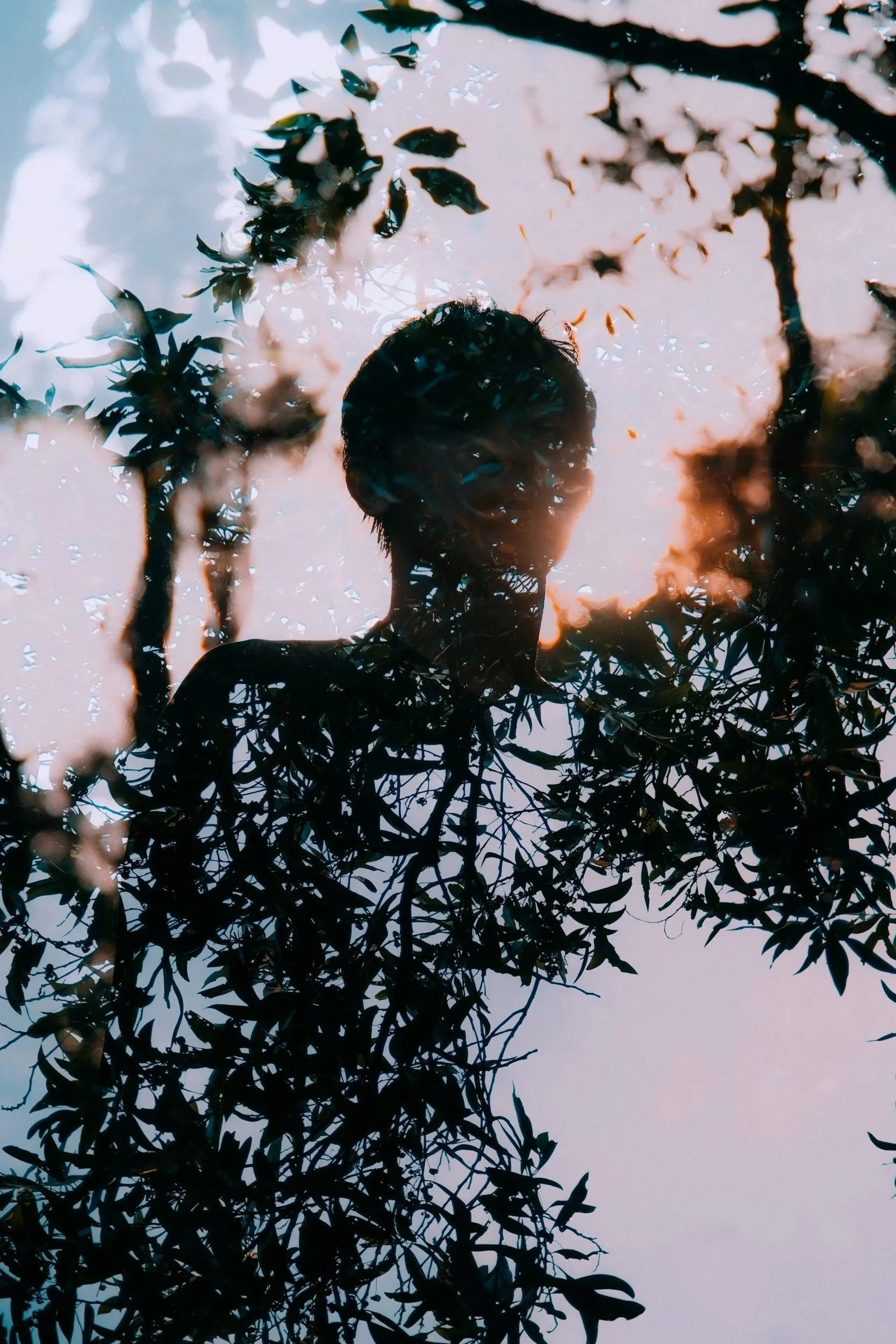 The image shows a person’s silhouette with short hair, viewed from below, surrounded by branches and leaves of a tree. The sky with clouds is visible in the background.