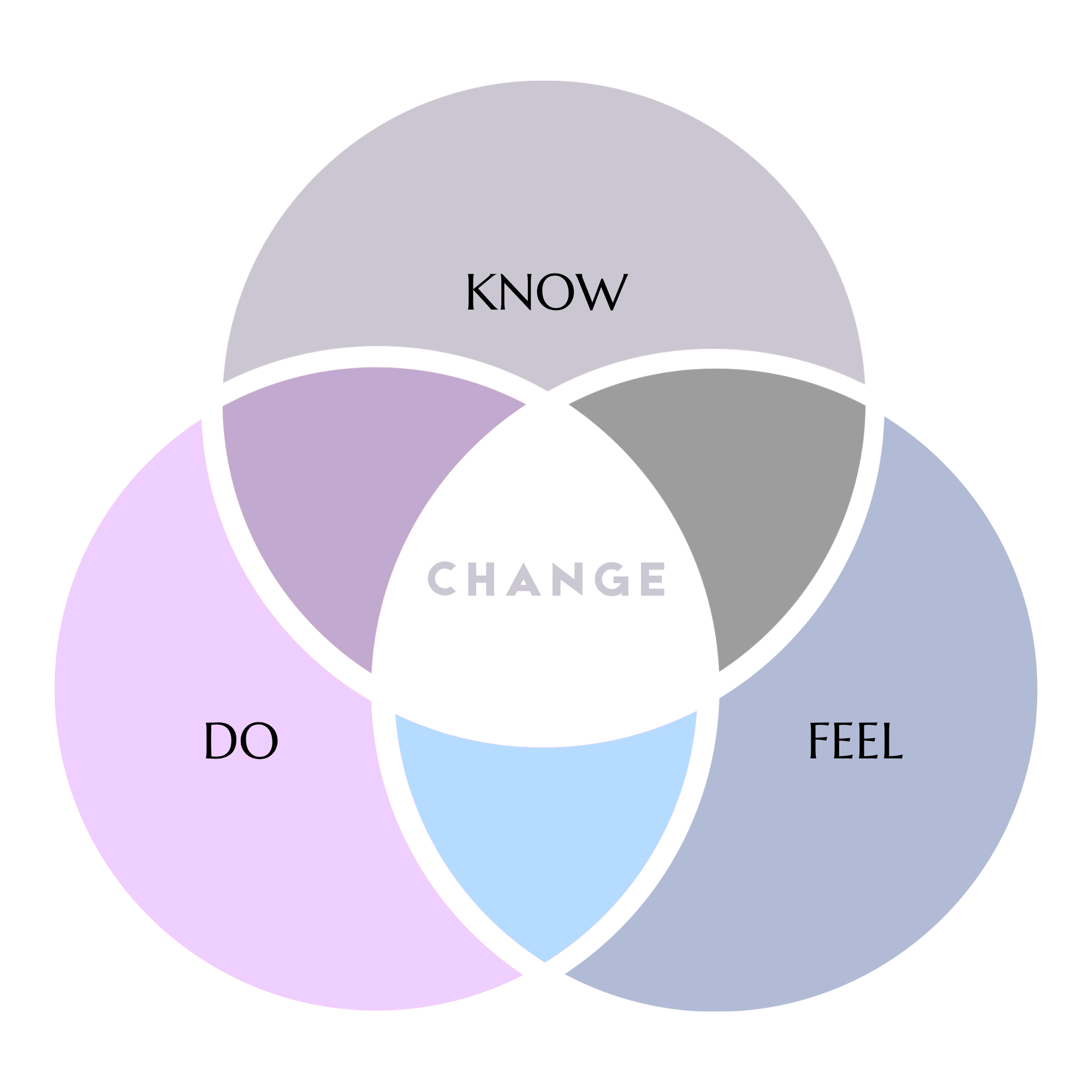 Diagram with overlapping circles labeled 'KNOW,' 'FEEL,' and 'DO.'