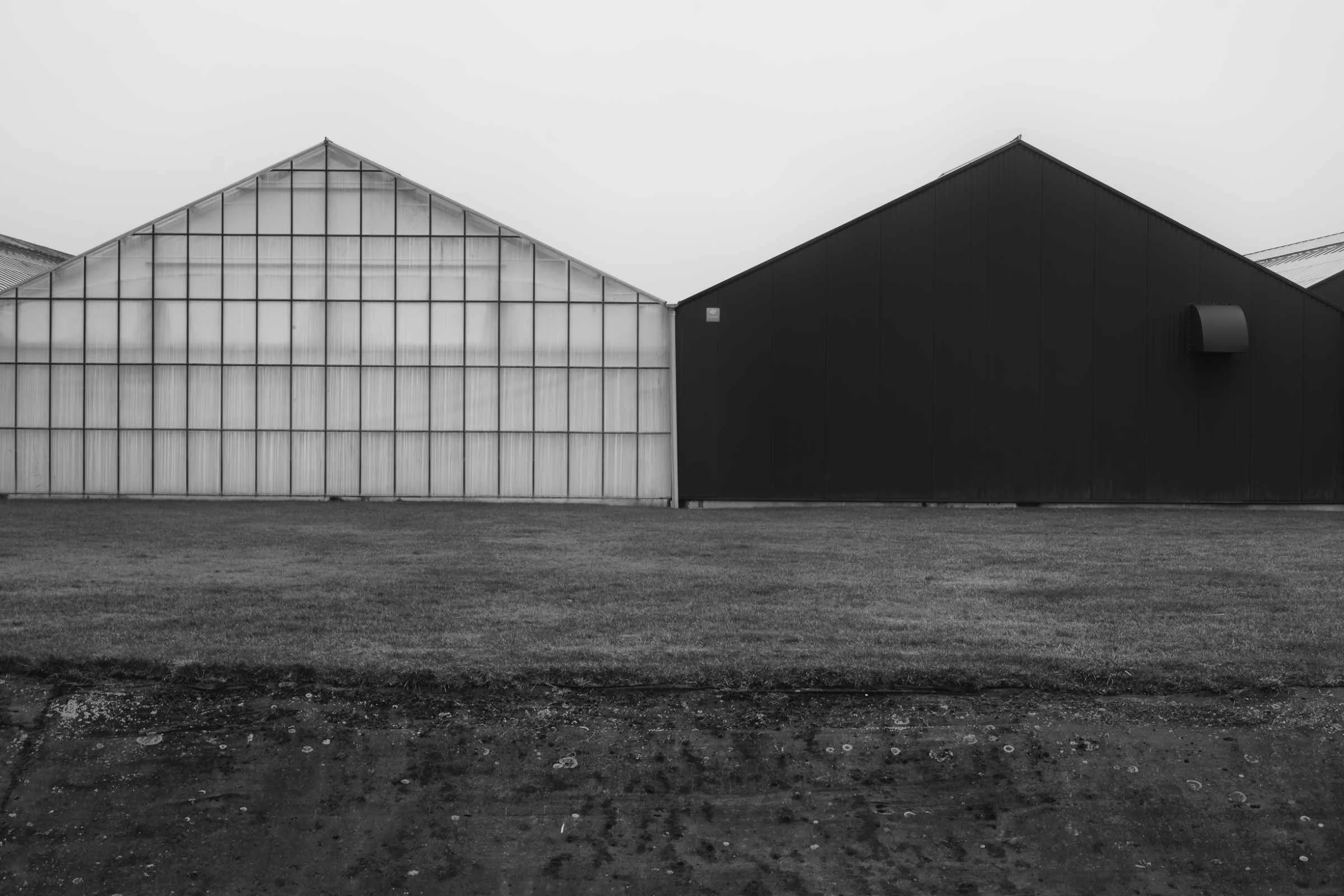 DSCF4716-fin lores.jpg