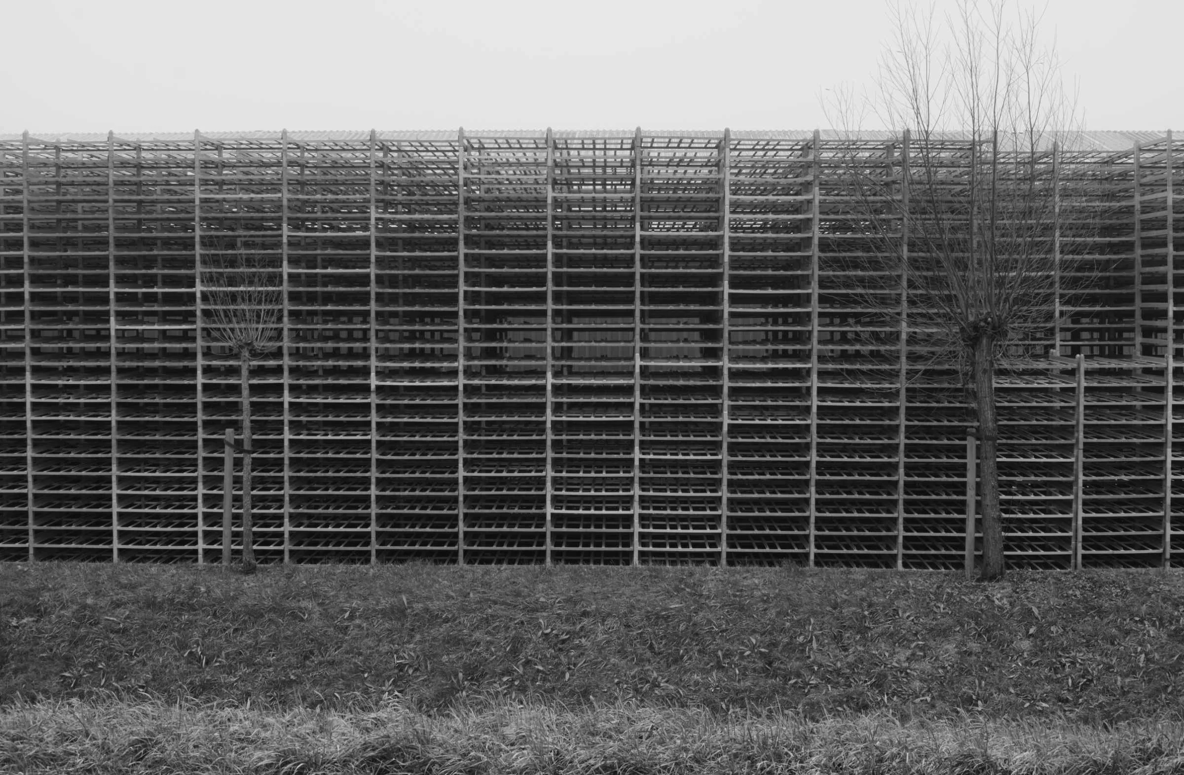 DSCF4754-fin lores.jpg