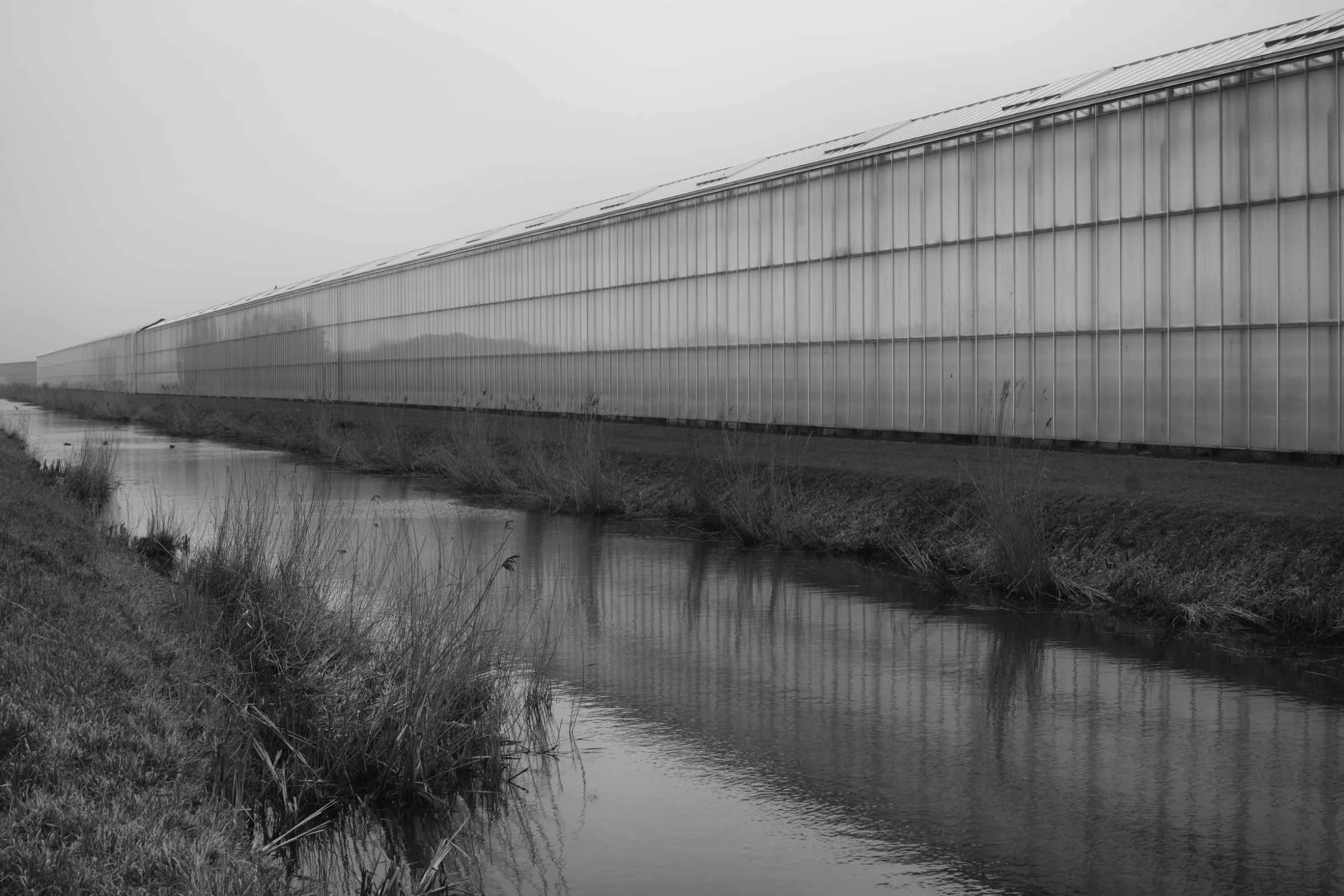 DSCF4722-fin lores.jpg