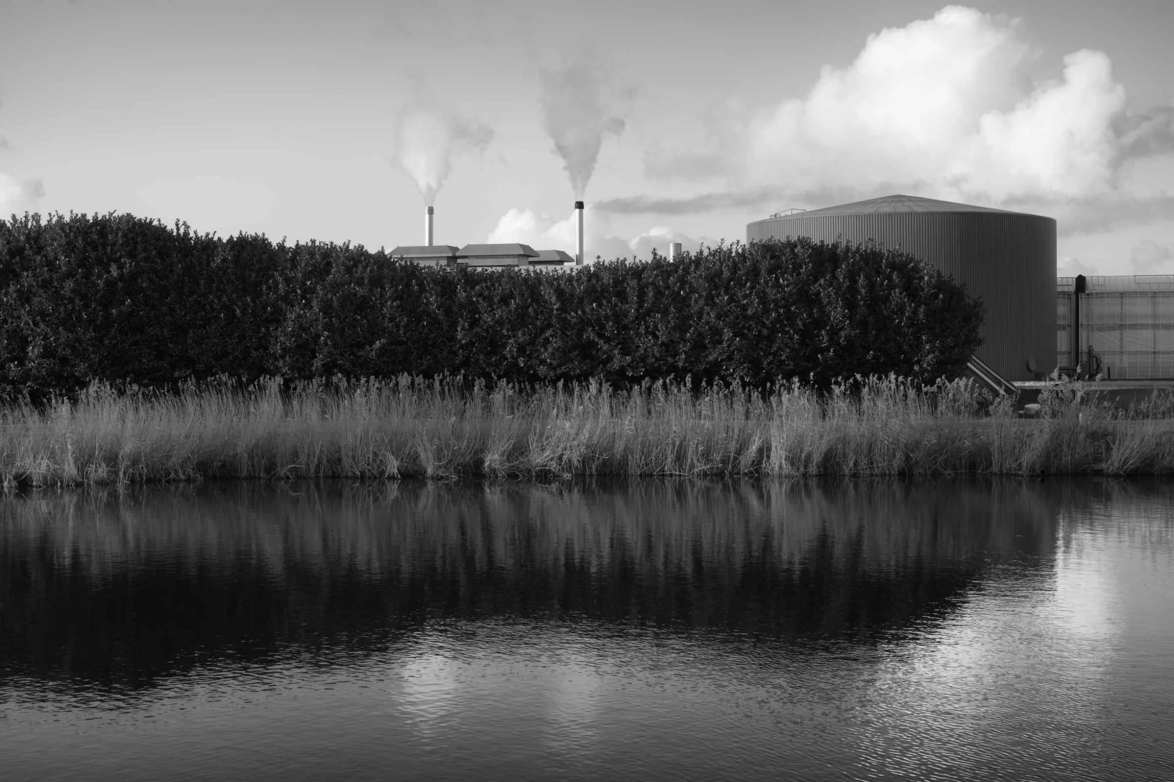 DSCF4785-fin lores.jpg