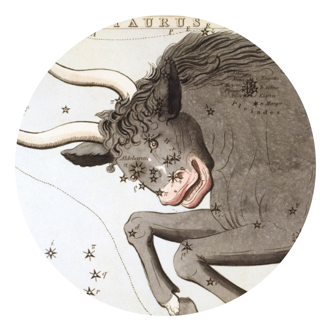 Through the Zodiac: Taurus