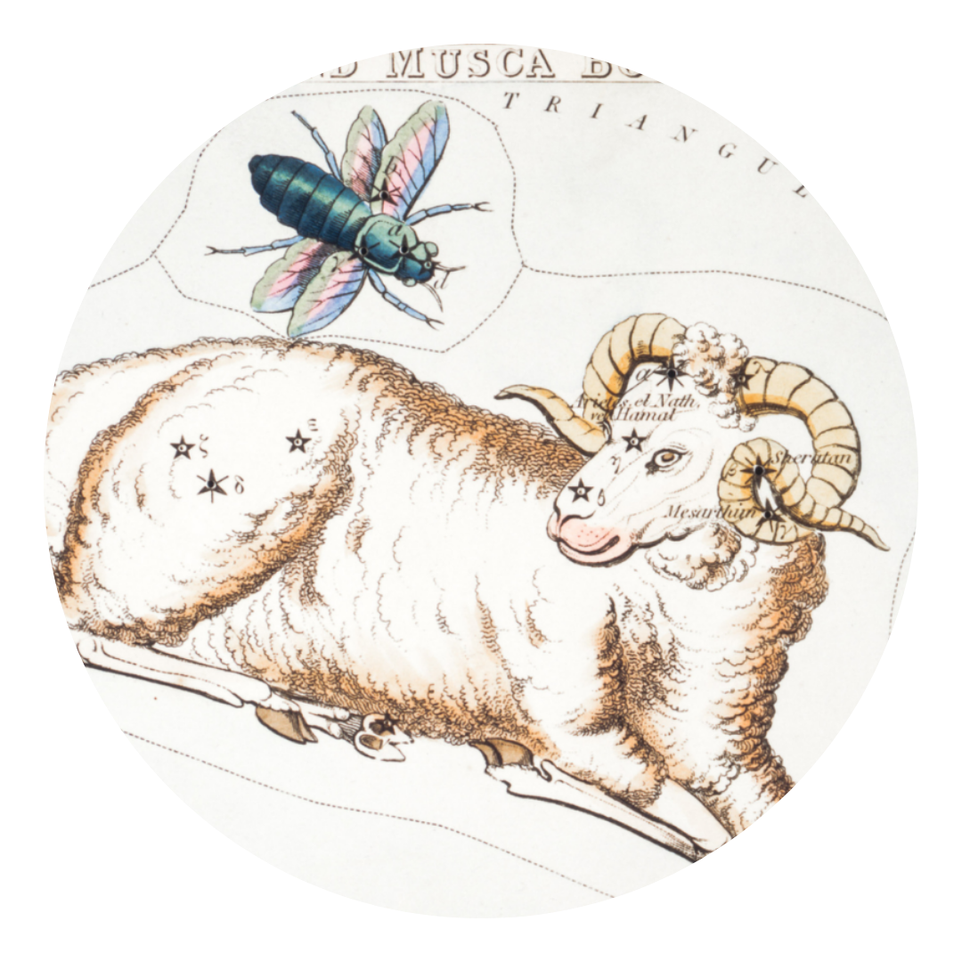 Through the Zodiac: Aries