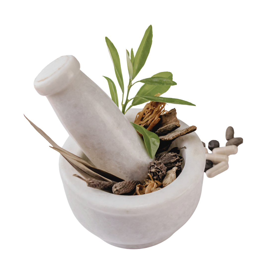 Ayurveda: Yoga’s Sister Science