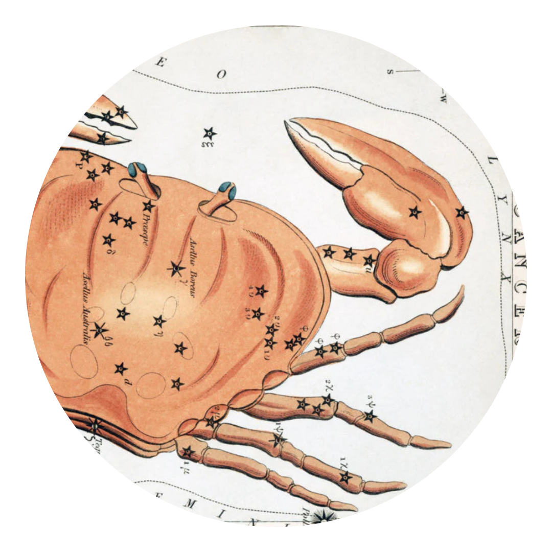 Through the Zodiac: Cancer