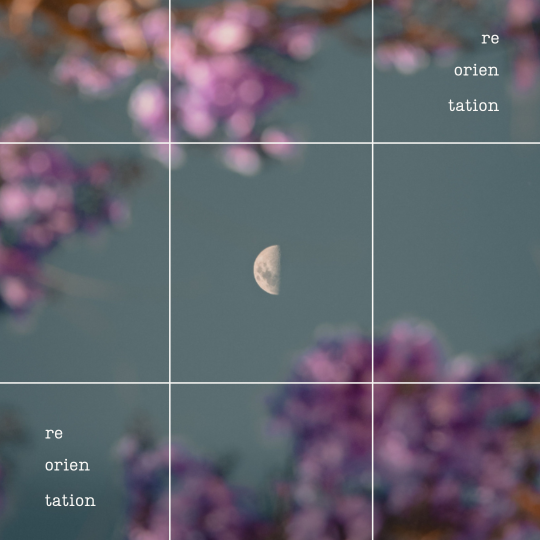 Half moon visible between blooming spring branches, symbolizing lunar cycles, seasonal change, and reflection.