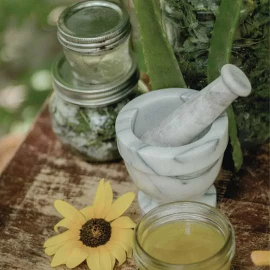 Mortar and pestle with glass jars of herbs and oil, representing simple Ayurvedic daily practices and herbal preparation