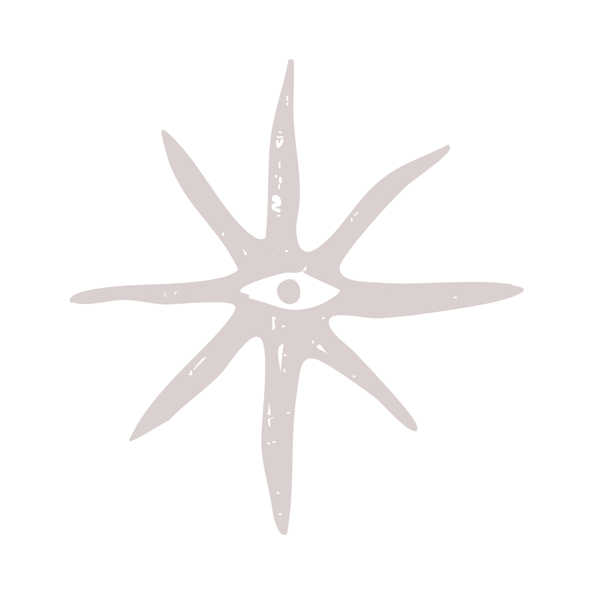 A black and white illustration of an aloe vera plant with long, pointed leaves.