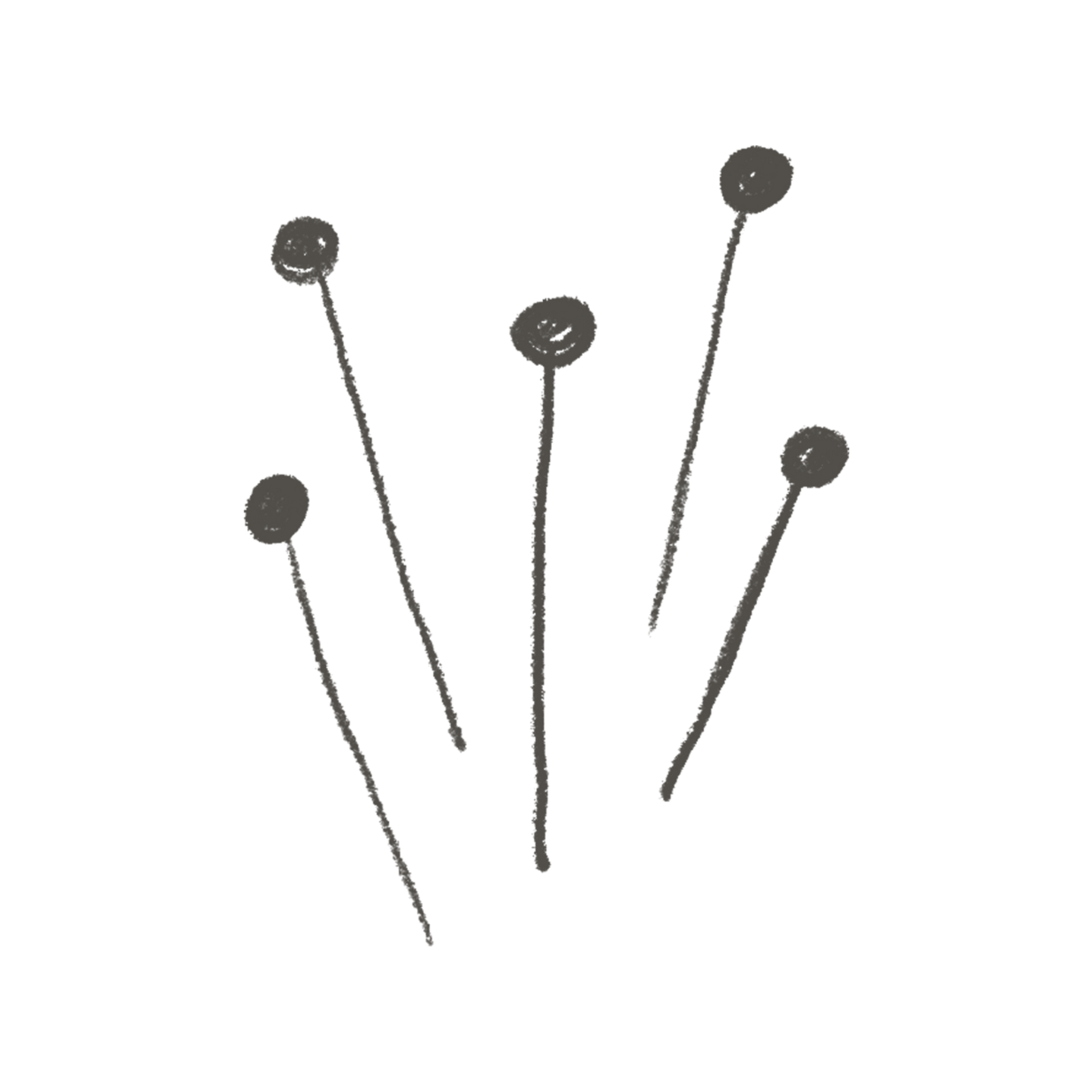Outline drawing of a plant with multiple round flower buds on long vertical stems.