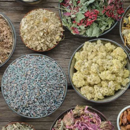 Bowls of dried herbs and flowers used in Ayurveda, symbolizing foundational principles like balance, doshas, and daily care