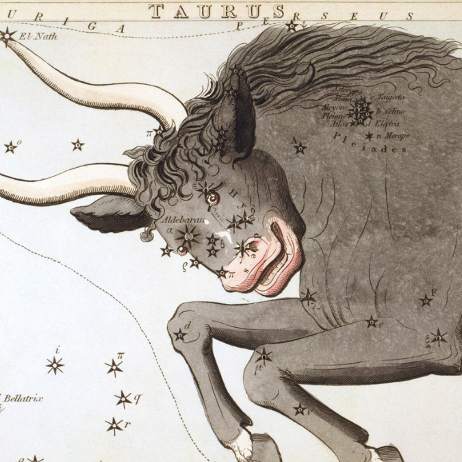 vintage illustration of the Taurus constellation shown as a bull with labeled stars in a classic astrology style