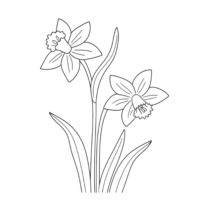 Daffodils blooming as early spring flowers, representing renewal and seasonal emergence during Ostara and the Spring Equinox.