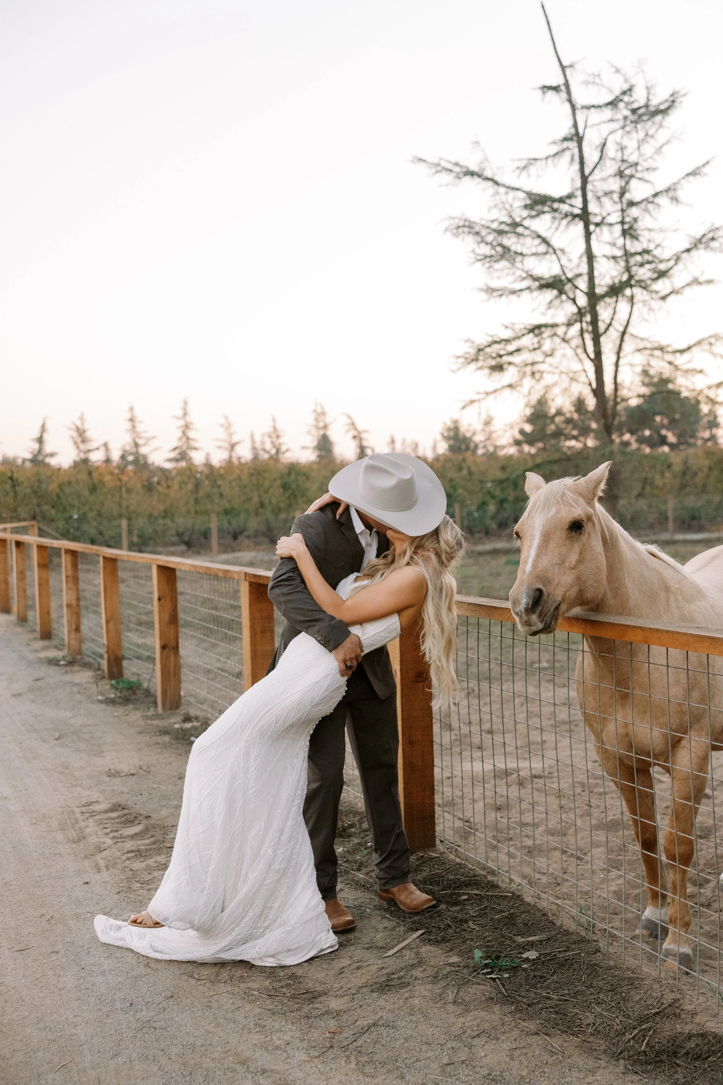 A couple kissing near a fence with a beige horse inside, outdoors during sunset, with trees in the background.