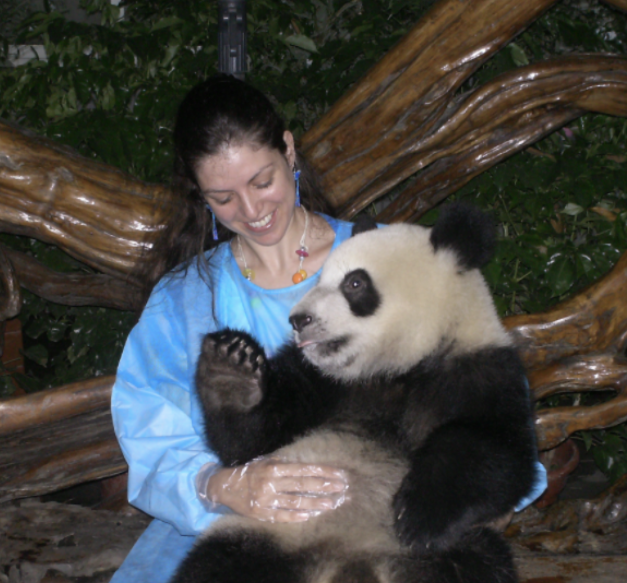 A woman with dark hair and colorful jewelry holding a baby panda bear in her arms, with a large tree branch and green foliage in the background.
