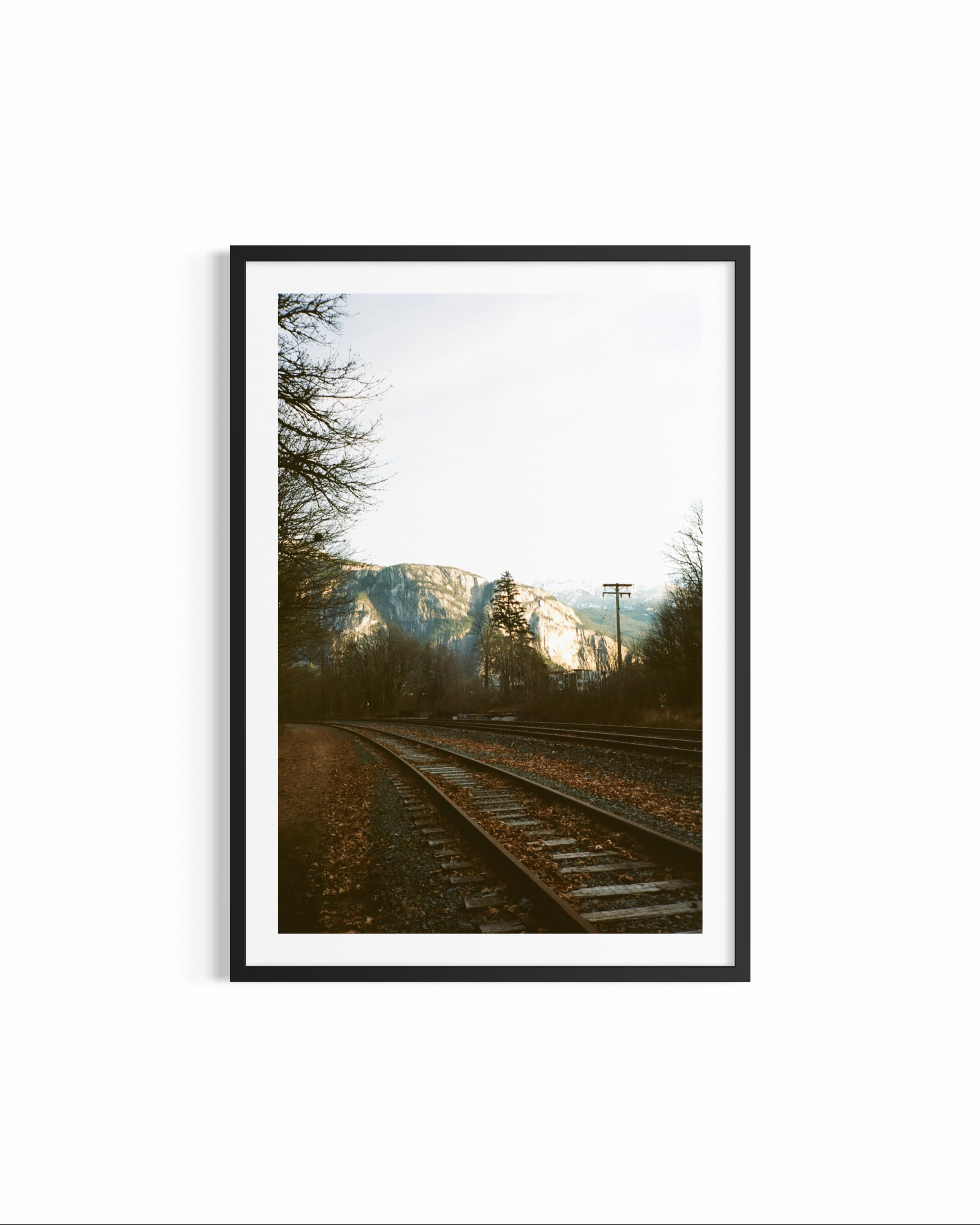 IMG_4076.PNG