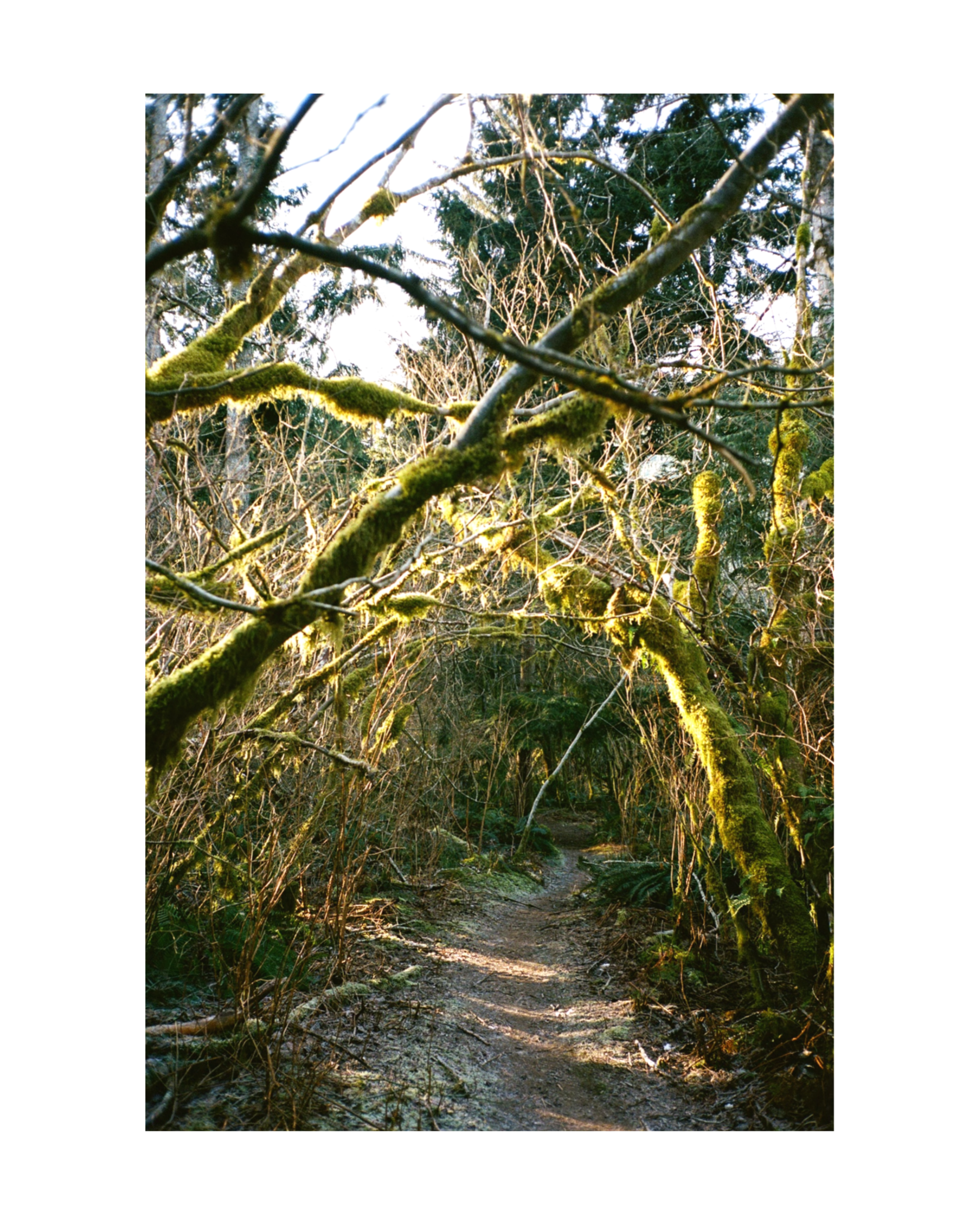 IMG_4187.PNG