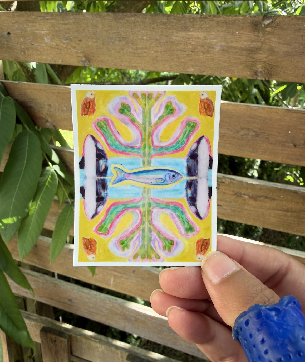 Herring Spawn Sticker