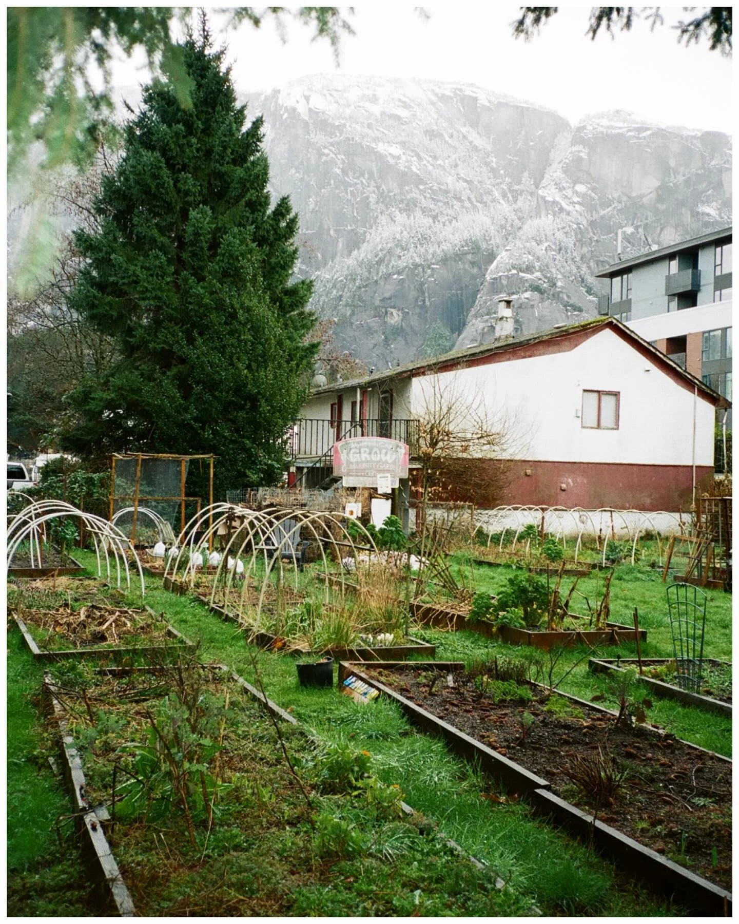 somewhere between winter and spring 

&hellip;..

#filmphotography #35mmfilm #squamish #pacificnorthwest #porta800