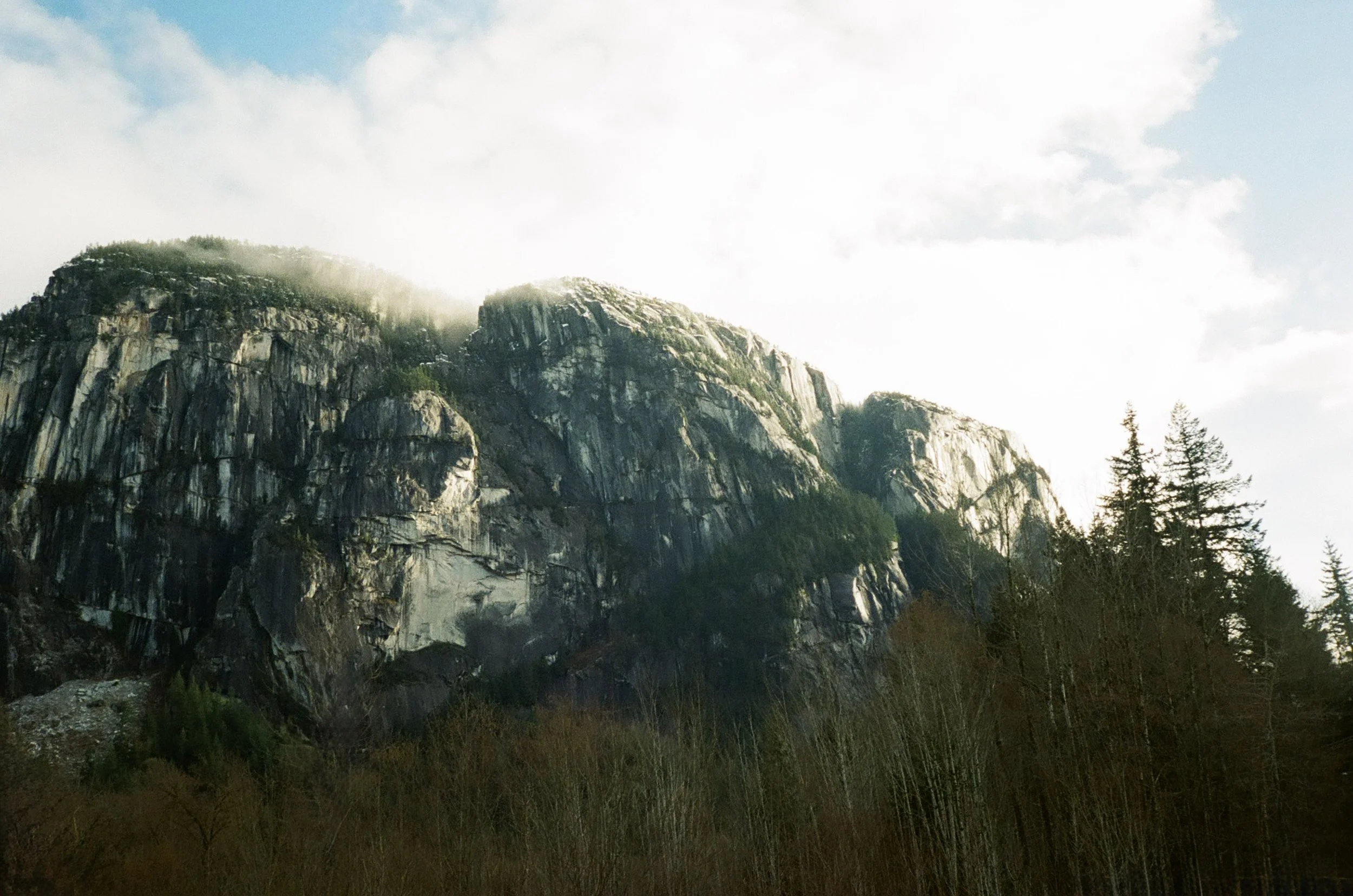 001658380024 copy.jpg