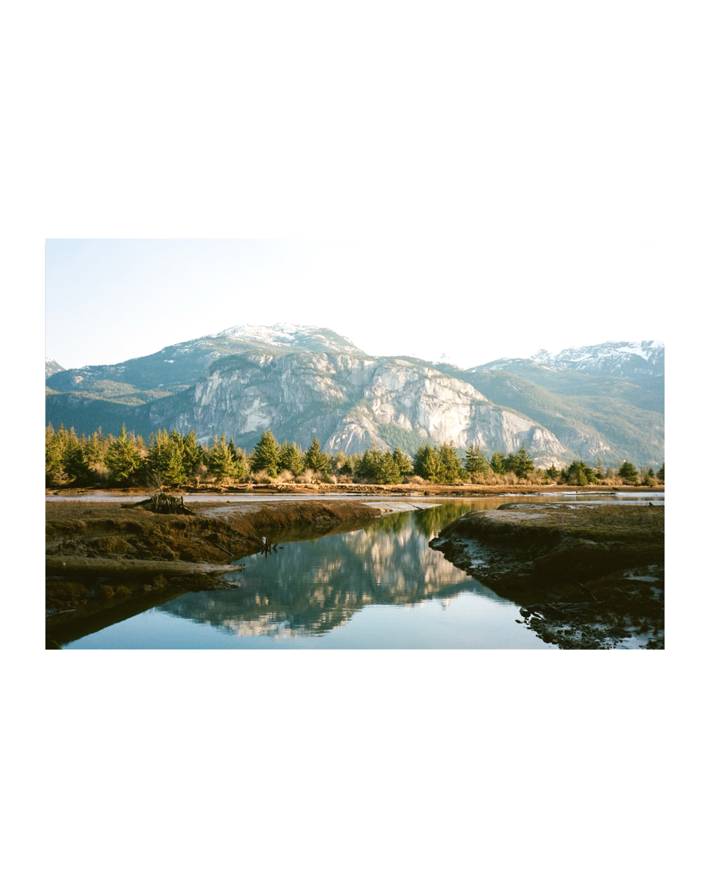 IMG_4174.PNG
