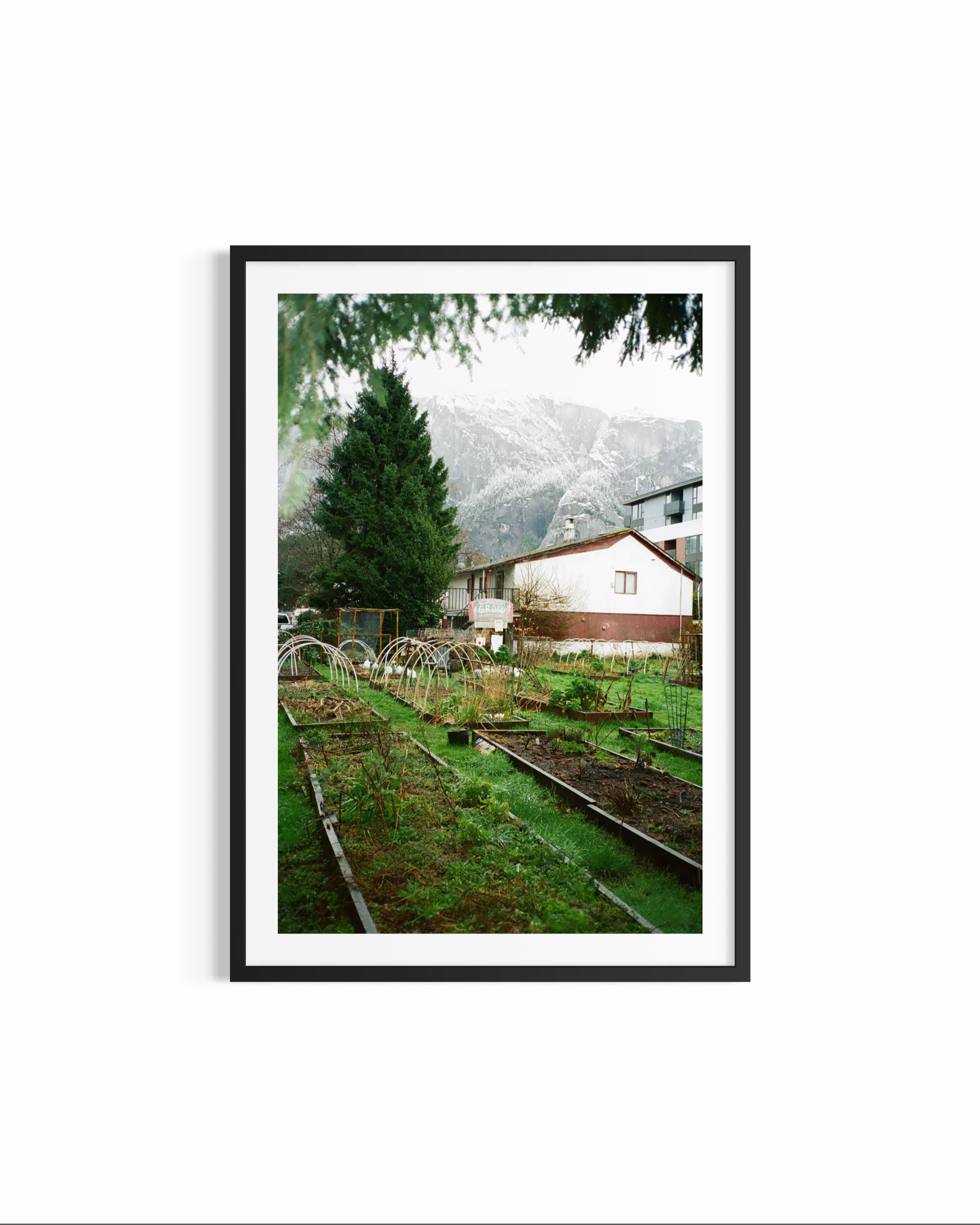IMG_4074.PNG