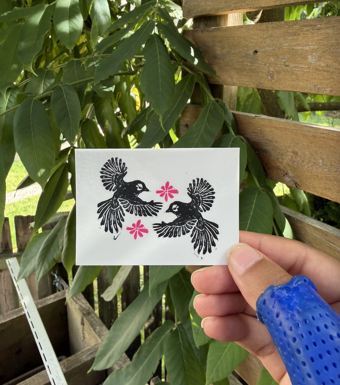 Birds Sticker