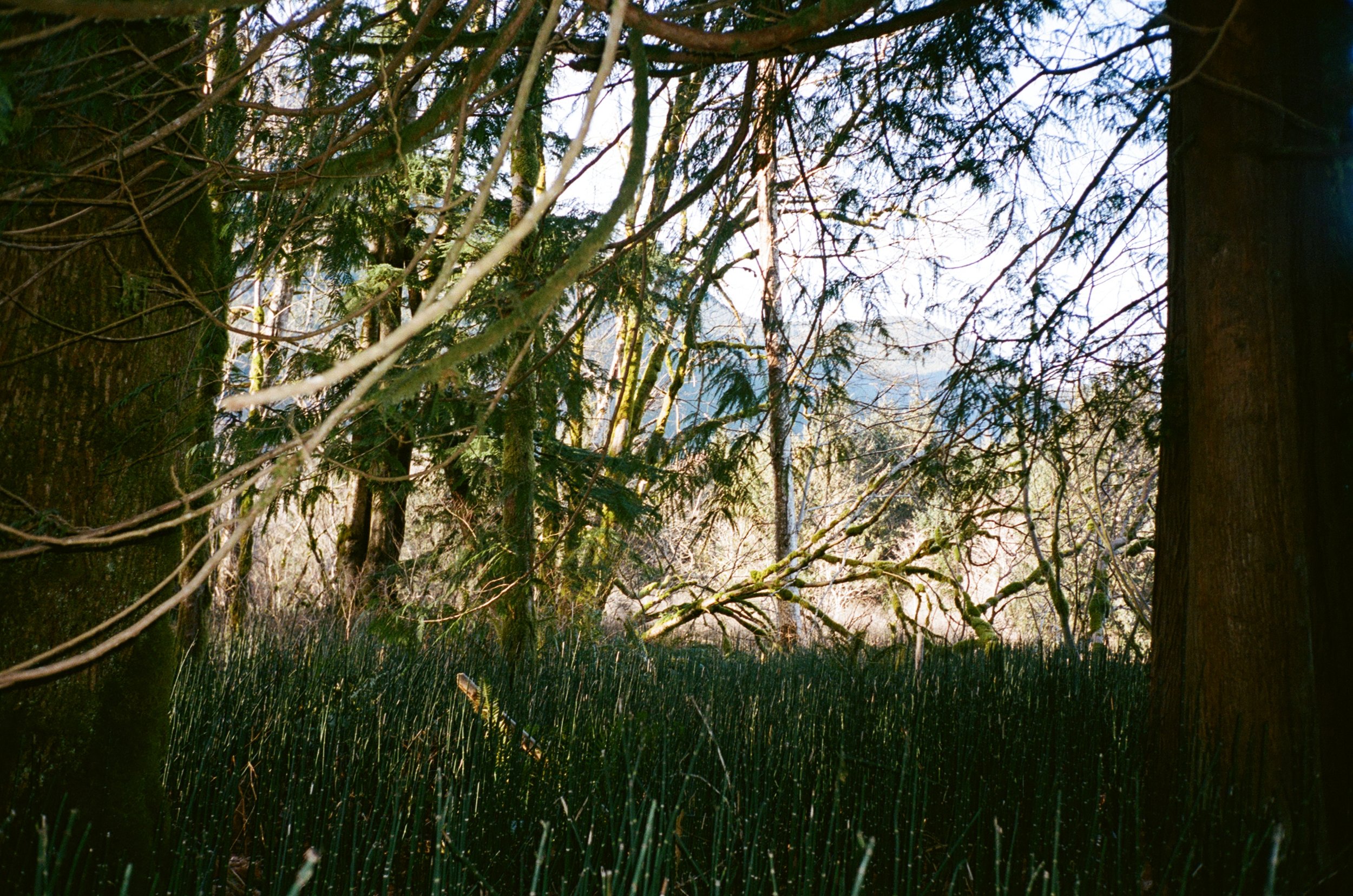001632160016.jpg
