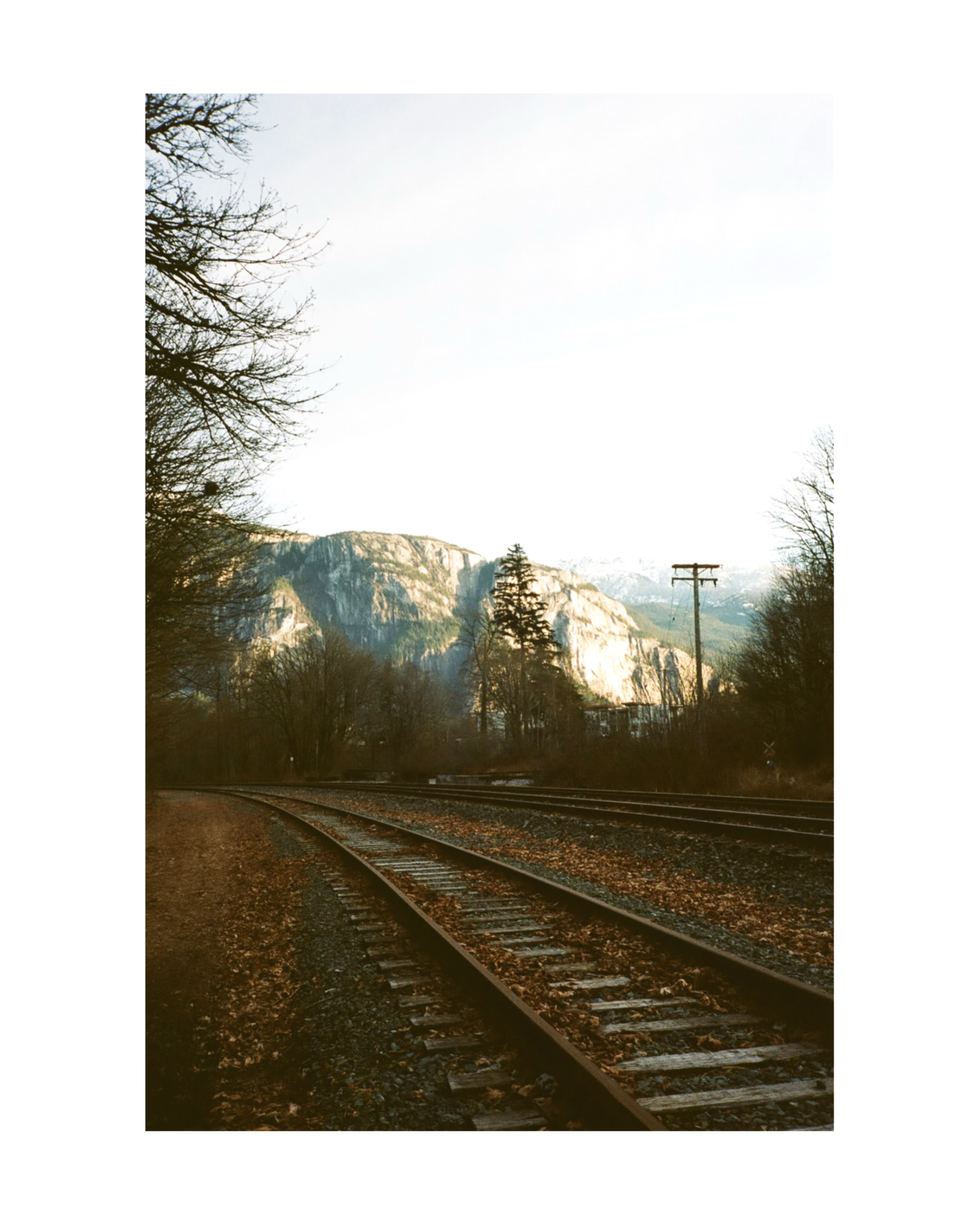 IMG_4177.PNG