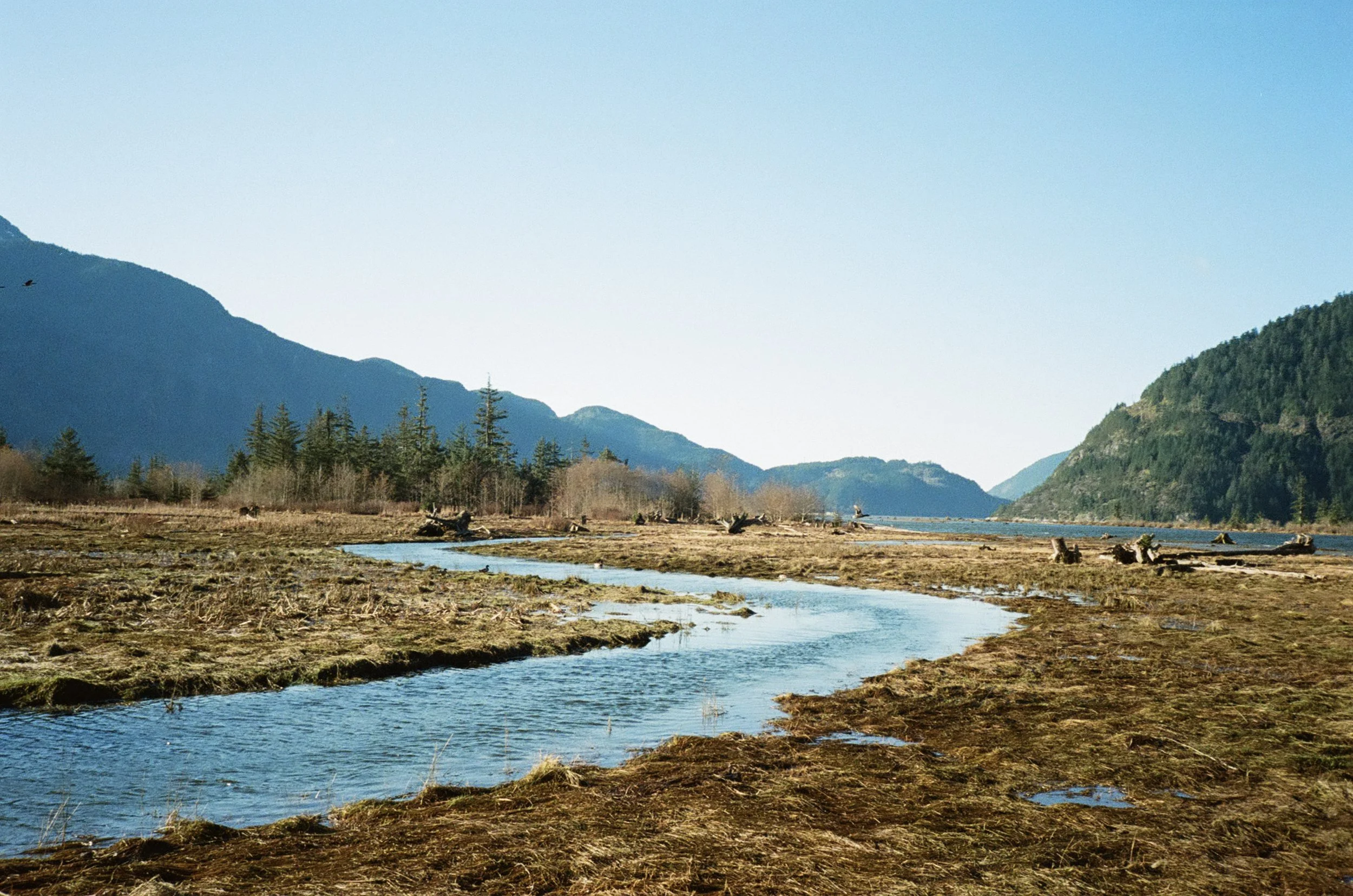 001658380015 (1).jpg