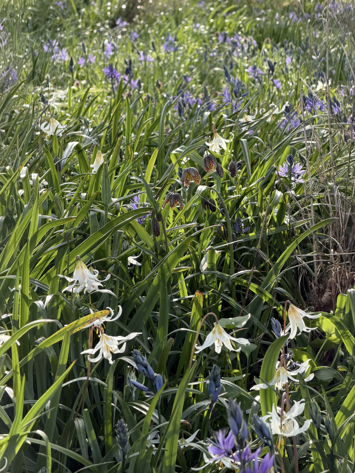 Screenshot 2026-04-14 at 8.10.59 PM.png