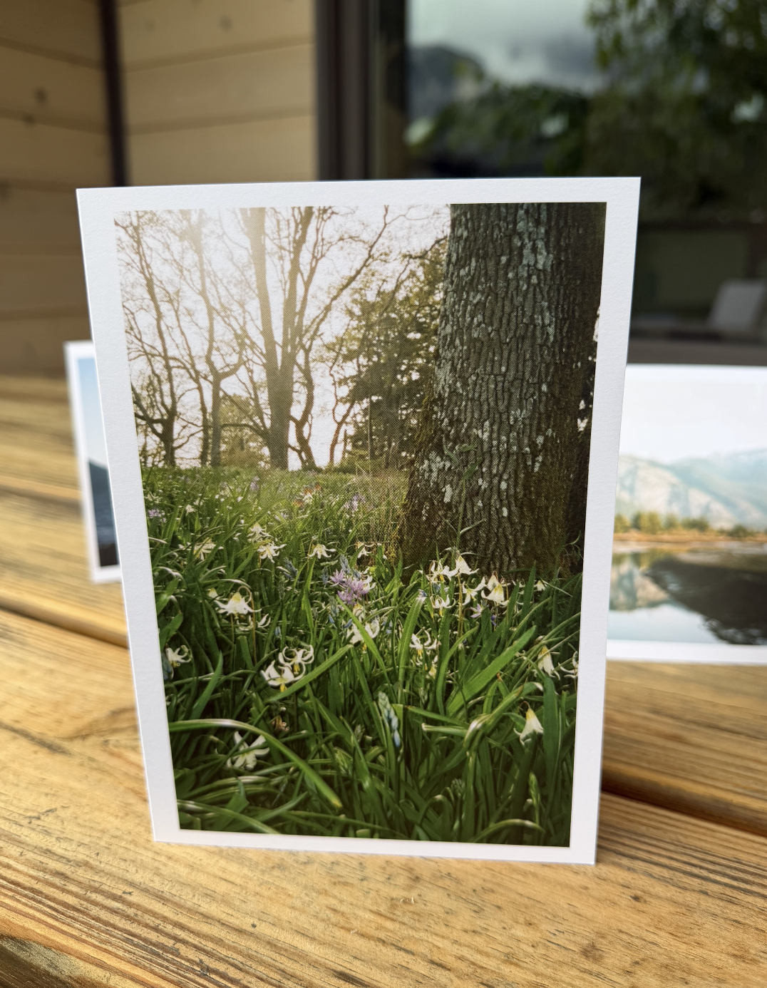 Garry Oak Greeting Card