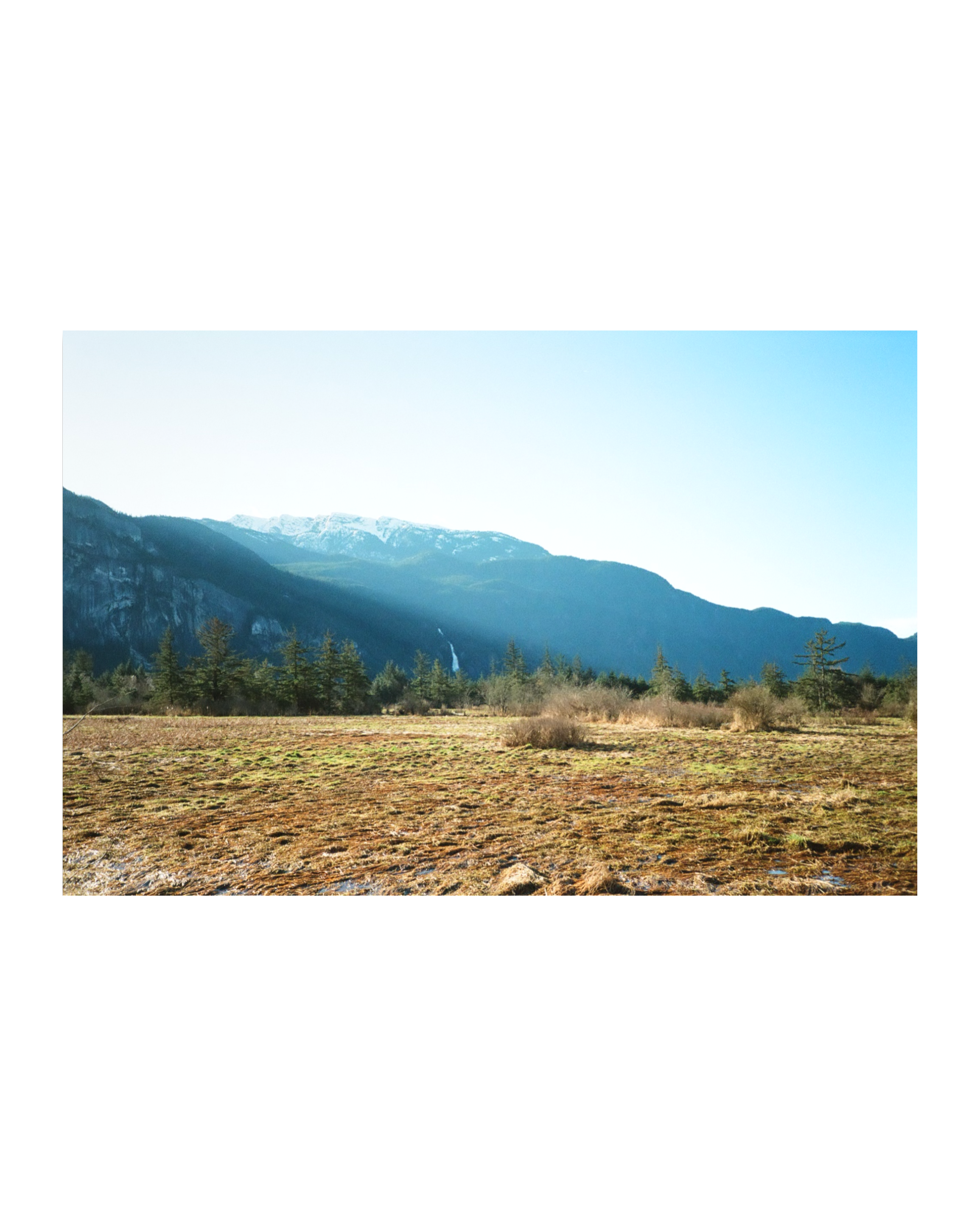 IMG_4170.PNG