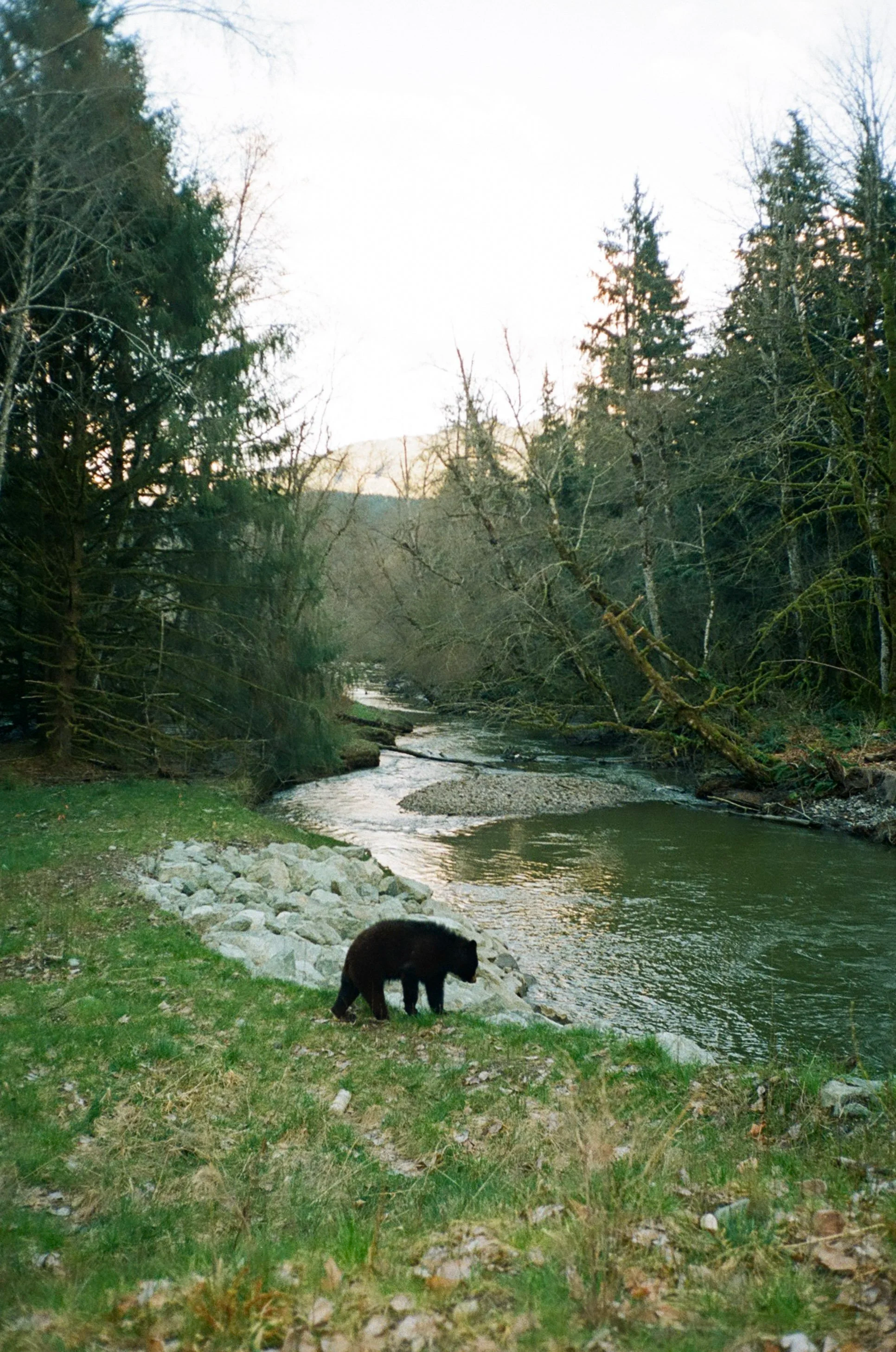IMG_3069+2+%281%29.png