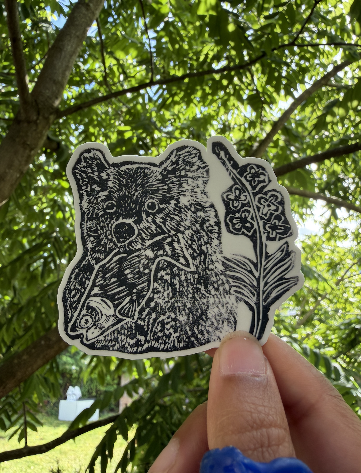 Salmon + Bear Sticker
