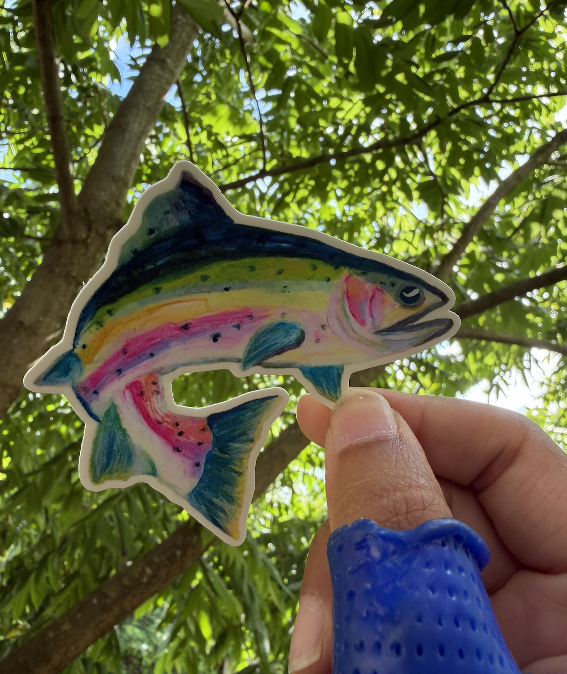 Salmon Sticker