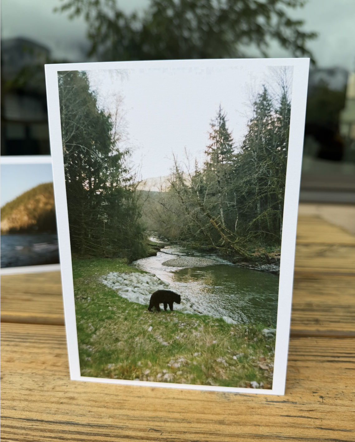 Evening Stroll Greeting Card