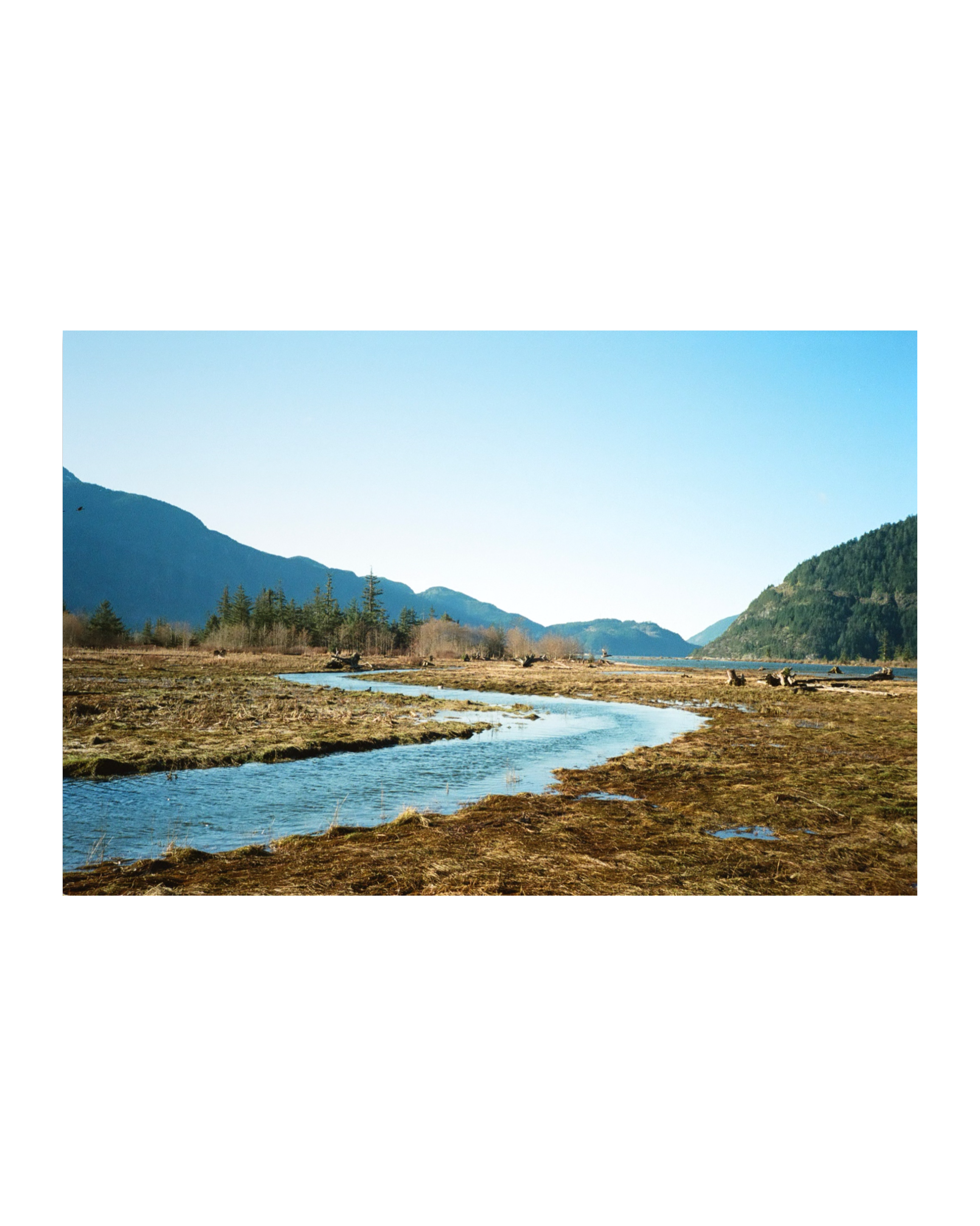 IMG_4172.PNG