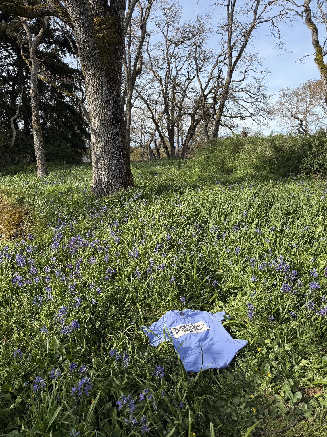 Screenshot 2026-04-14 at 8.31.41 PM.png